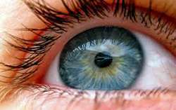 Medicamento pode dar a cegos capacidade de perceber a luz