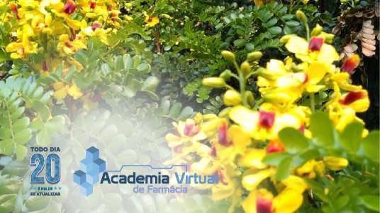 Um campo com flores pequenas amarelas. Embaixo o selo do Todo dia 20 é dia de se atualizar e o logo da Academia Virtual de Farmácia, ambos em azul