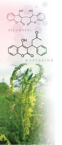 cultura-farmaceutica warfarina