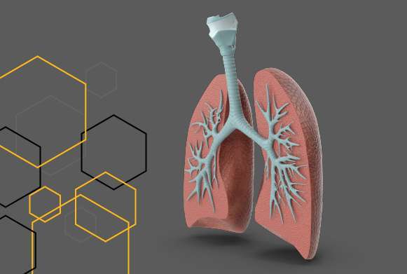 Imagem de fundo cinza, ao lado esquerdo imagem geométrica de seis lados nas cores amarelo e branco e ao lado a representação de um pulmão  