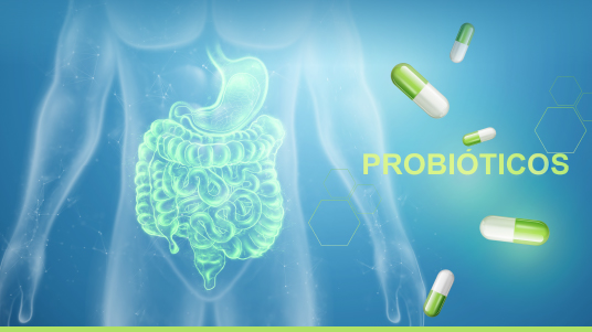 Imagem ilustrativa de fundo azul claro tendo à esquerda a figura de um corpo humano masculino com destaque para o intestino. À direita, há algumas cápsulas e a palavra probióticos em destaque. 